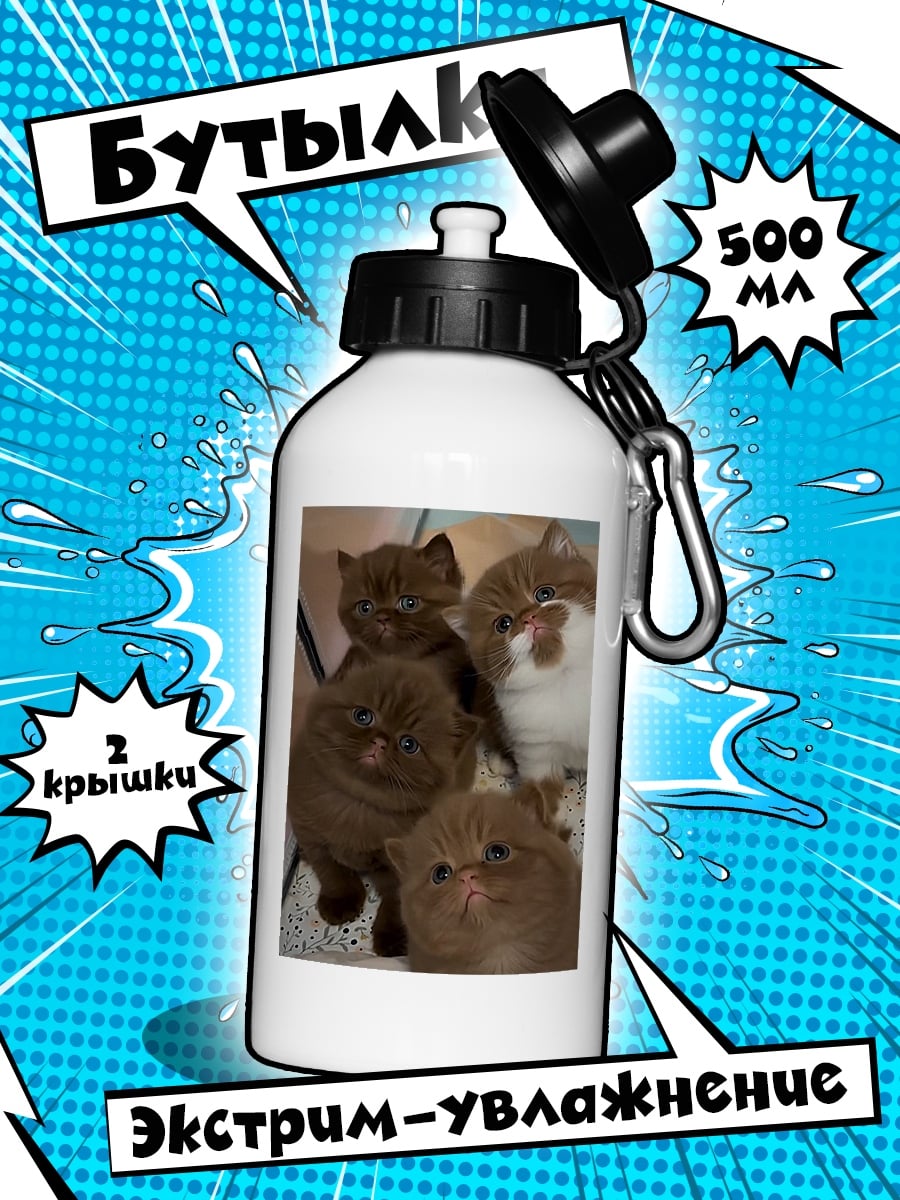 Бутылка Четыре котенка