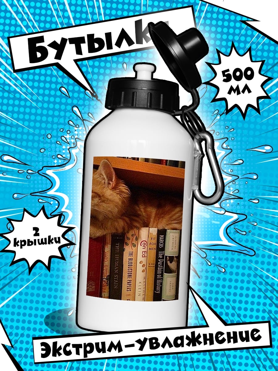 Бутылка Кот на книжной полке