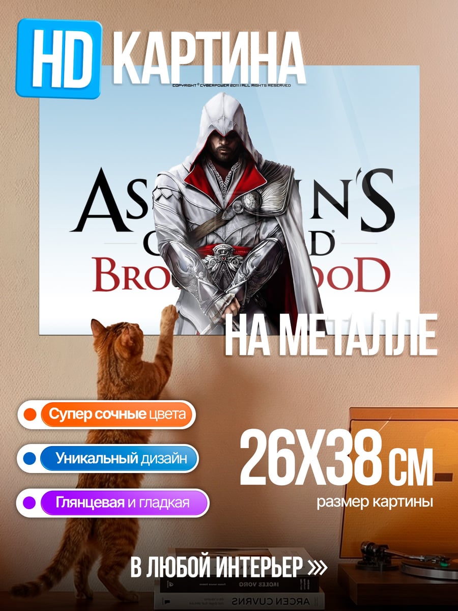 Картина на металле Assassin's Creed Brotherhood