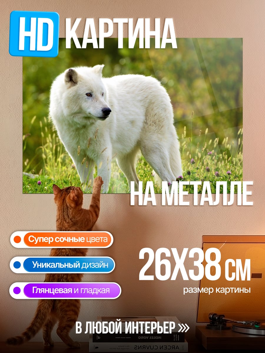 Картина на металле Белый волк в траве