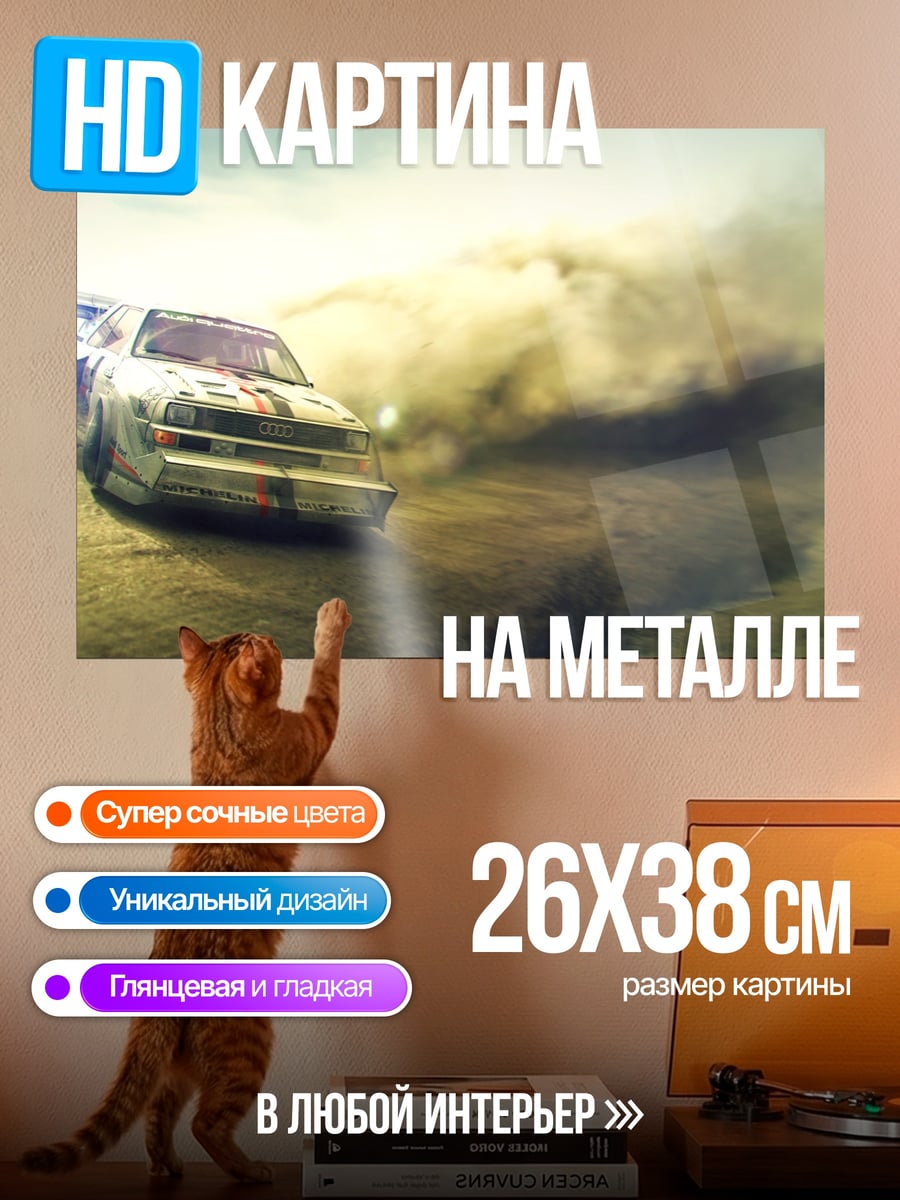 Картина на металле Ралли машина в пыли