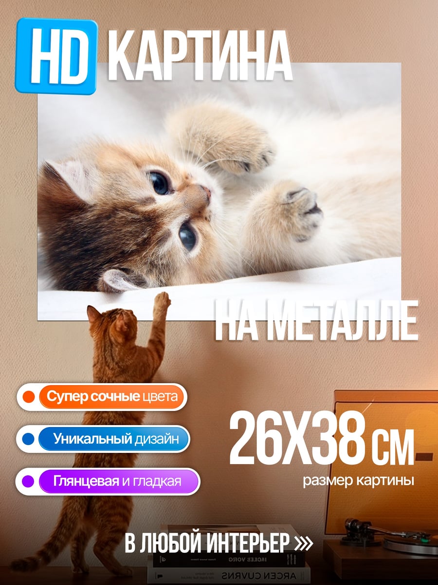 Картина на металле Пушистый котенок