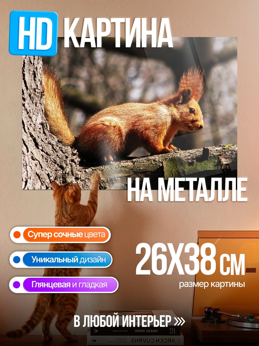 Картина на металле Рыжая белка
