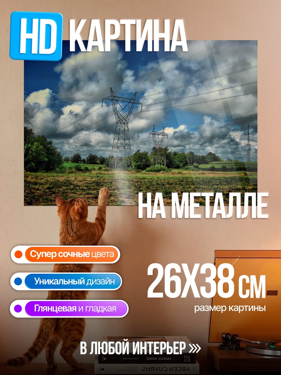 Картина на металле Электроопоры в поле