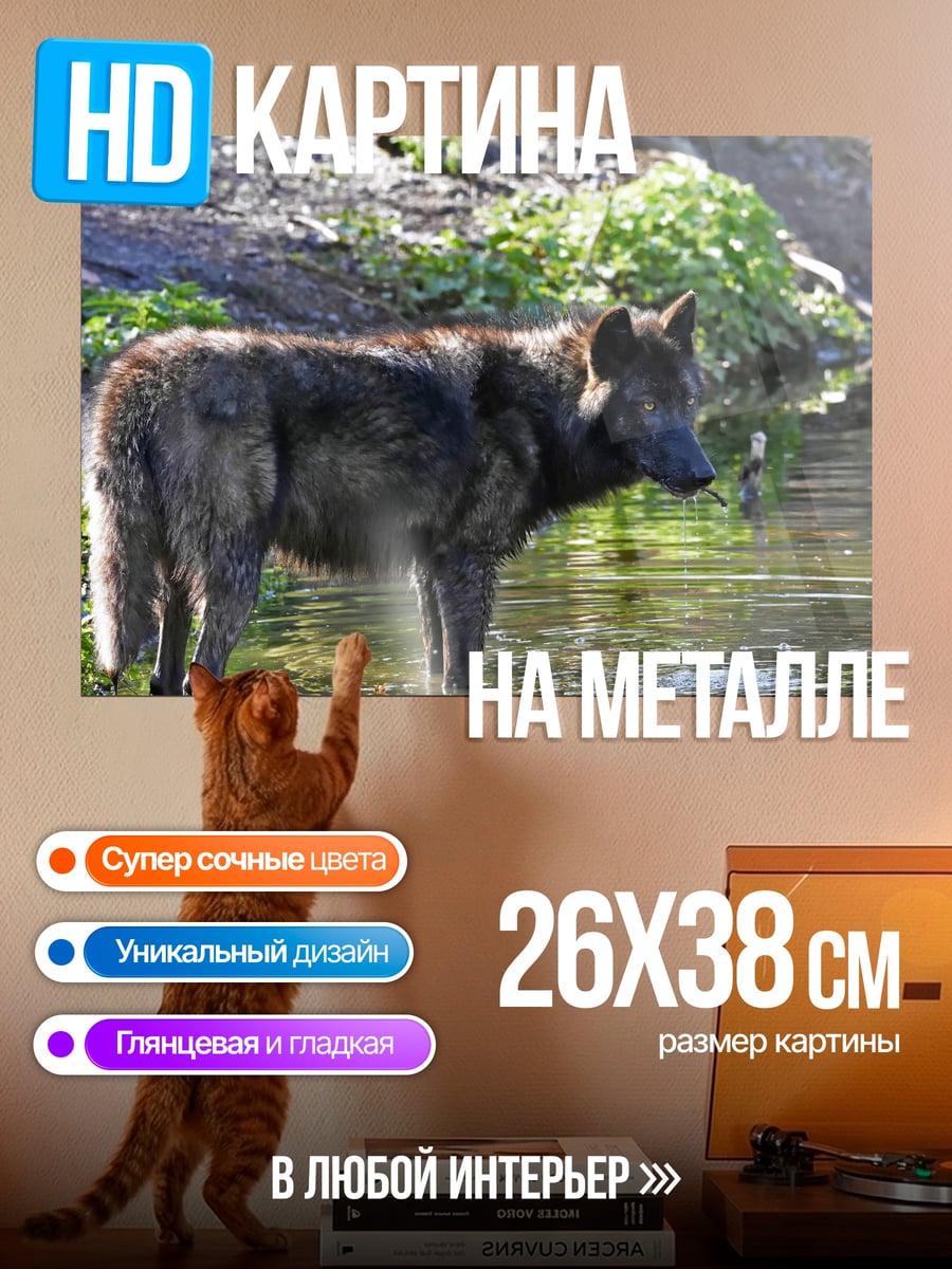 Картина на металле Волк у воды