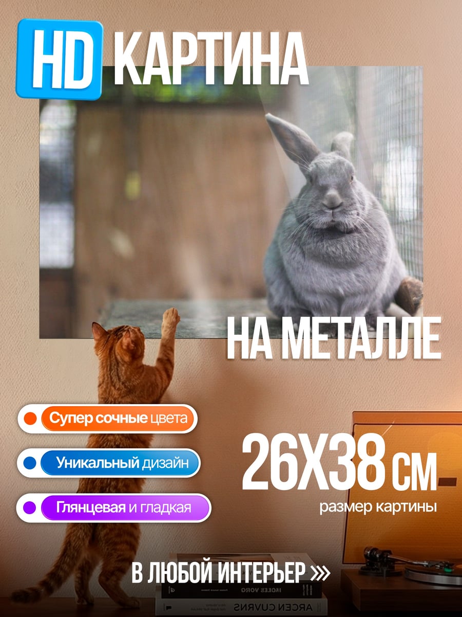 Картина на металле Пушистый кролик