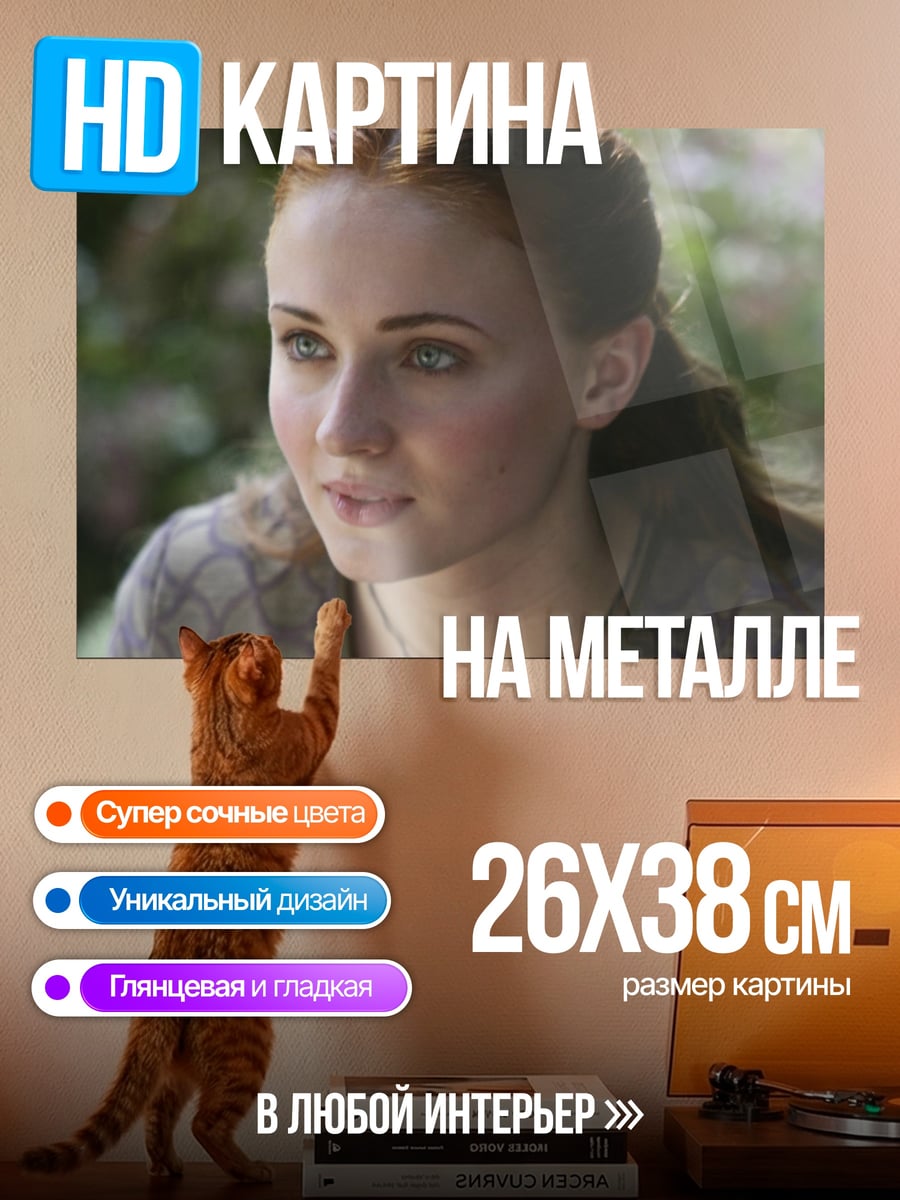 Картина на металле Санса Старк