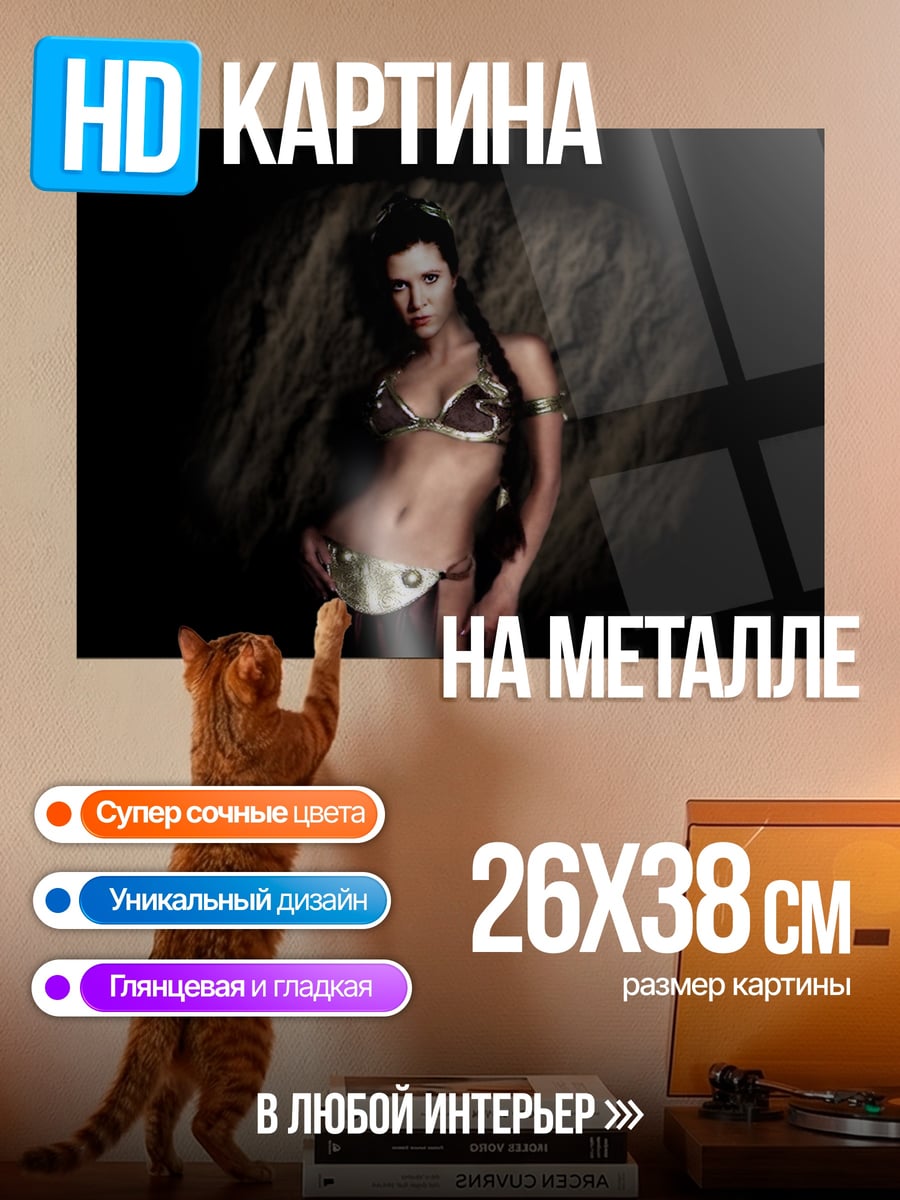 Картина на металле Принцесса Лея