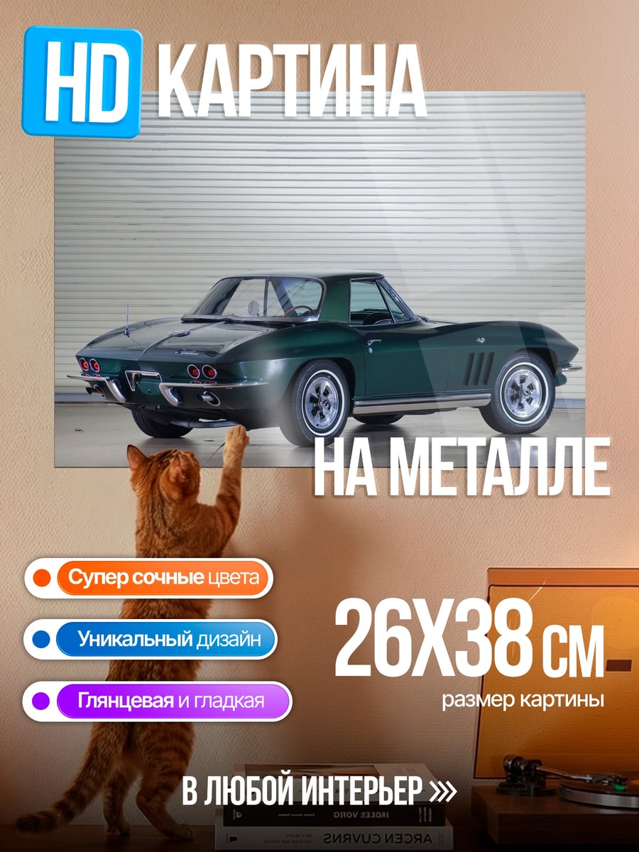 Картина на металле Зеленый Корвет
