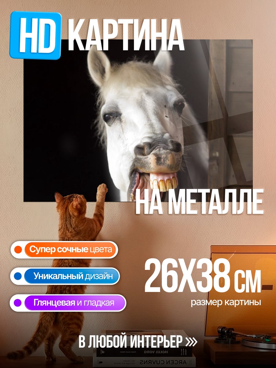 Картина на металле Удивлённая лошадь