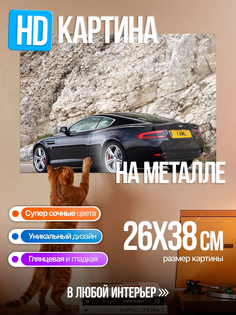 Картина на металле Чёрный спорткар