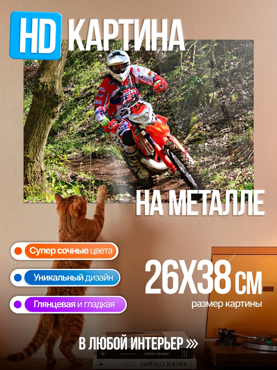 Картина на металле Мотоциклист в лесу