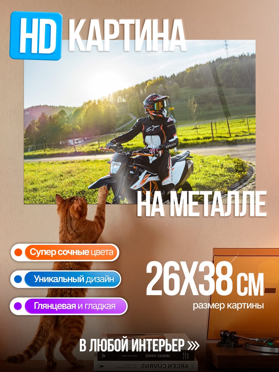 Картина на металле Мотоциклист на закате