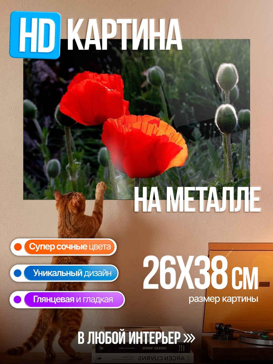 Картина на металле Красные маки