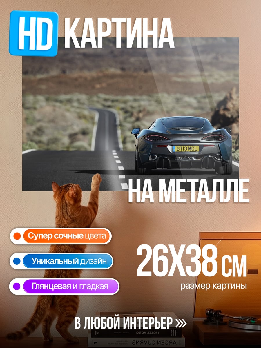 Картина на металле Спортивный автомобиль на дороге