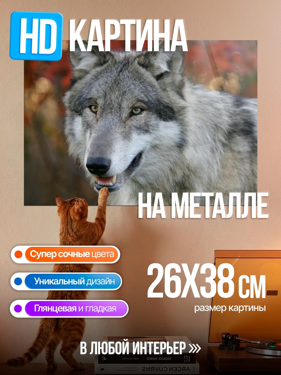 Картина на металле серый волк