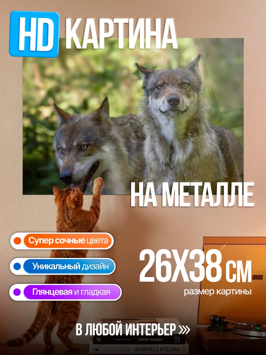 Картина на металле два волка