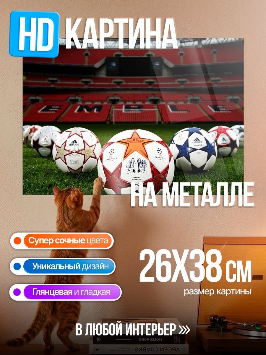 Картина на металле Футбольные мячи на поле