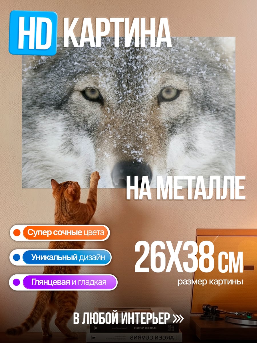 Картина на металле Волк в снегу