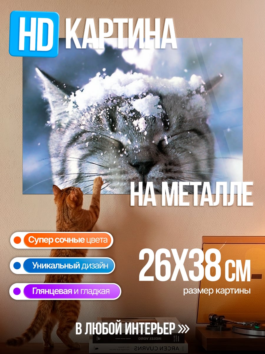 Картина на металле Кот в снегу