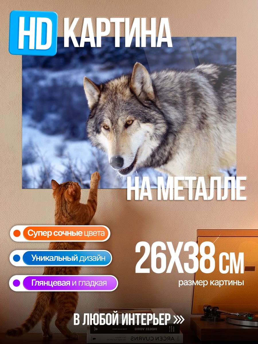 Картина на металле Зимний волк