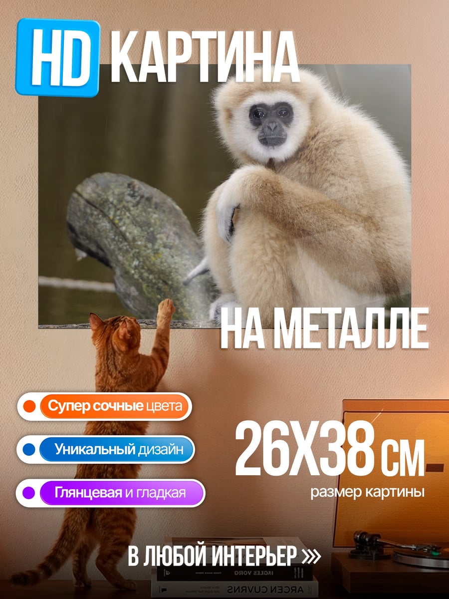 Картина на металле Обезьяна Гиббон