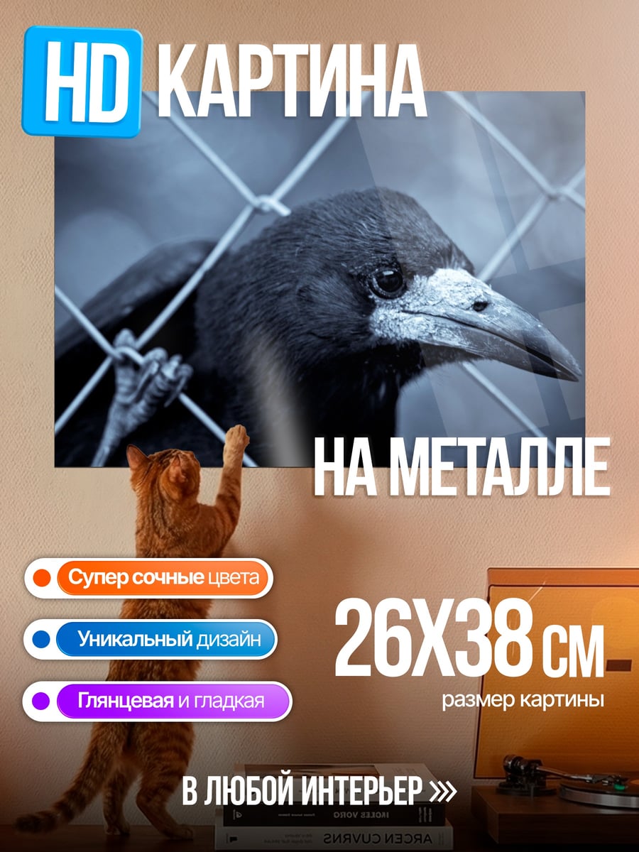 Картина на металле Ворон за решеткой
