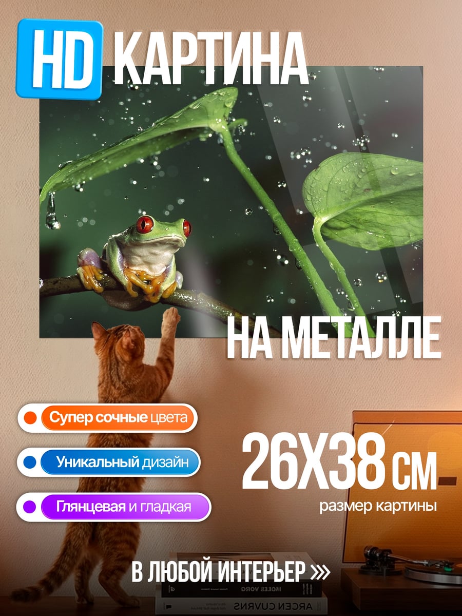 Картина на металле лягушка под дождем