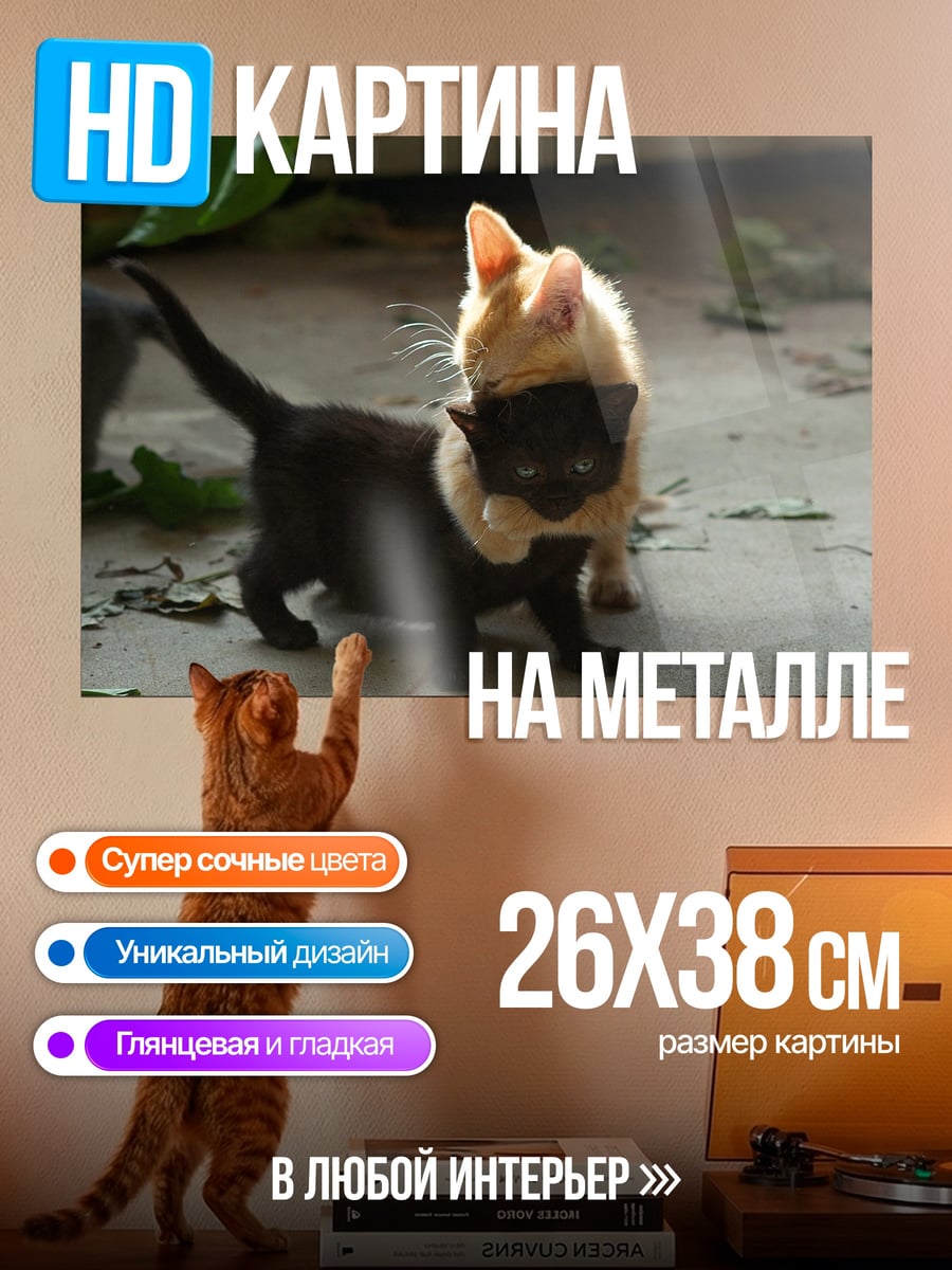 Картина на металле Играющие котята