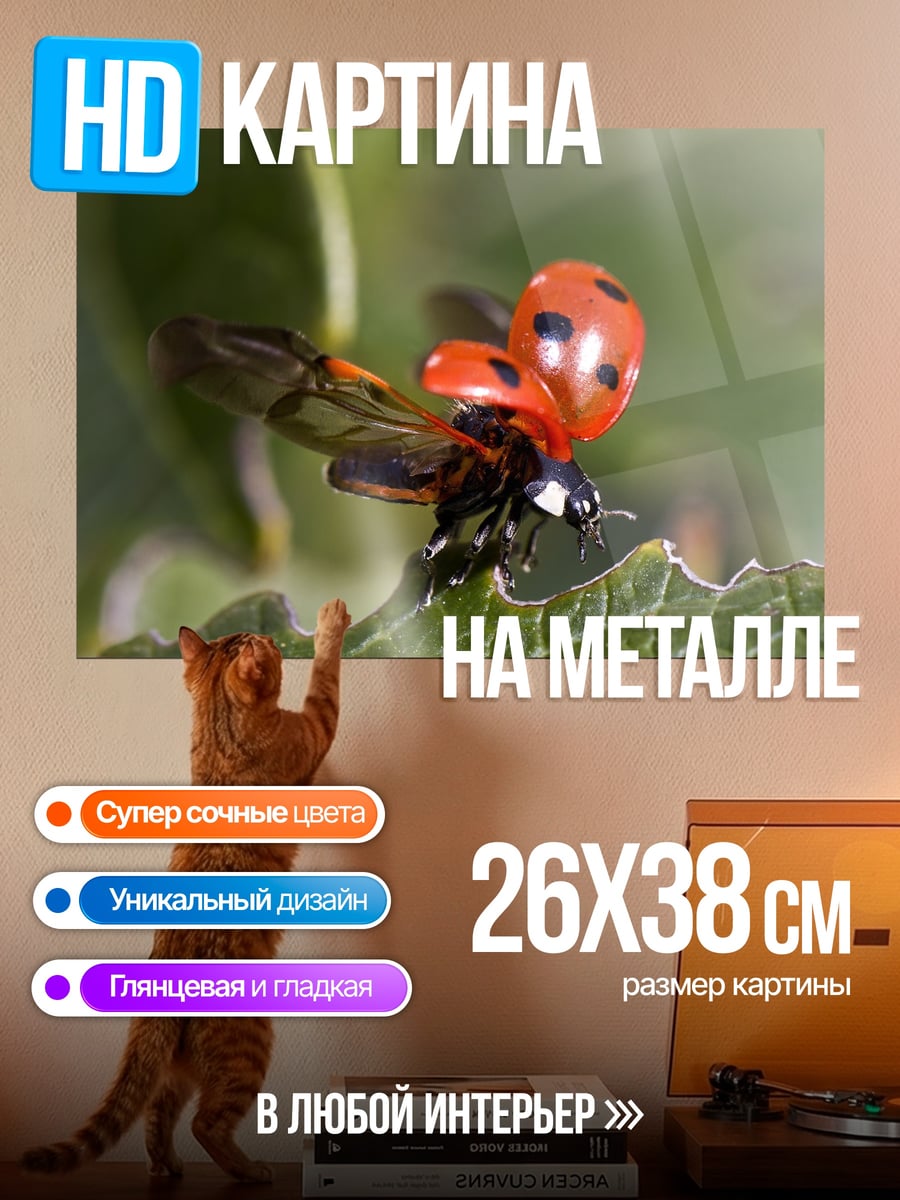 Картина на металле божья коровка летит