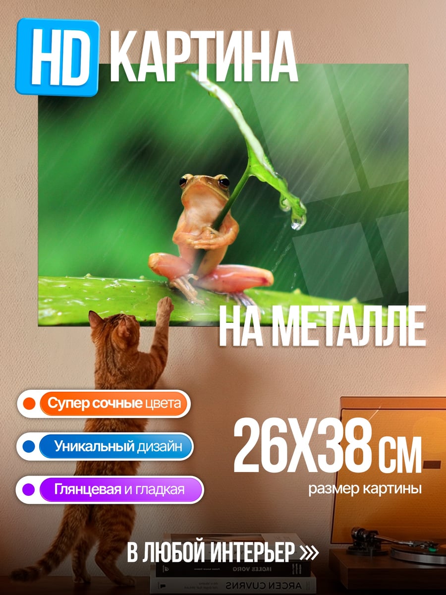 Картина на металле Лягушка под листом