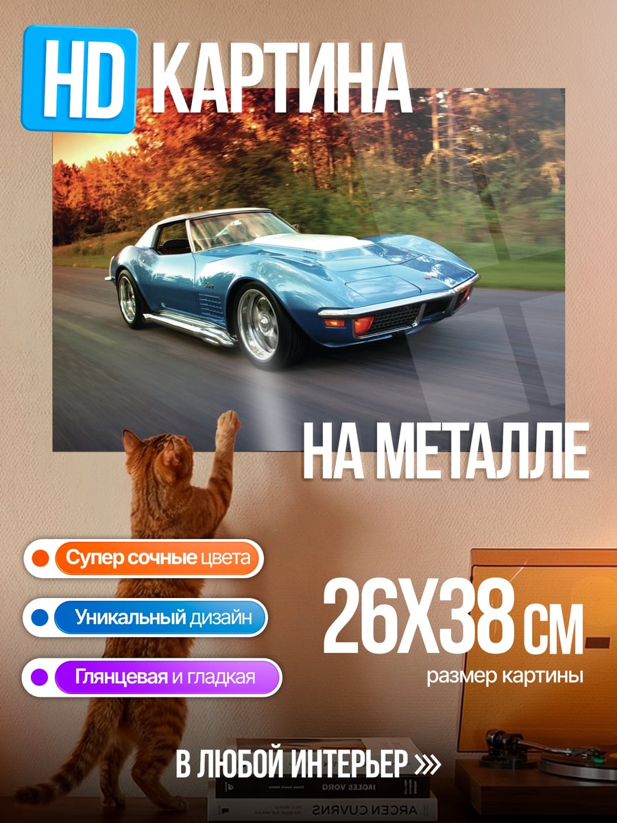 Картина на металле Синий Корвет на дороге