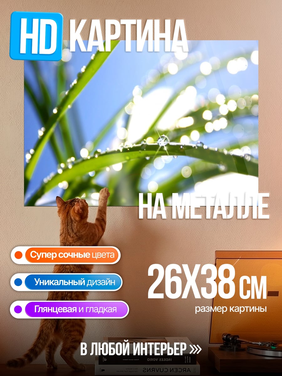 Картина на металле Роса на траве
