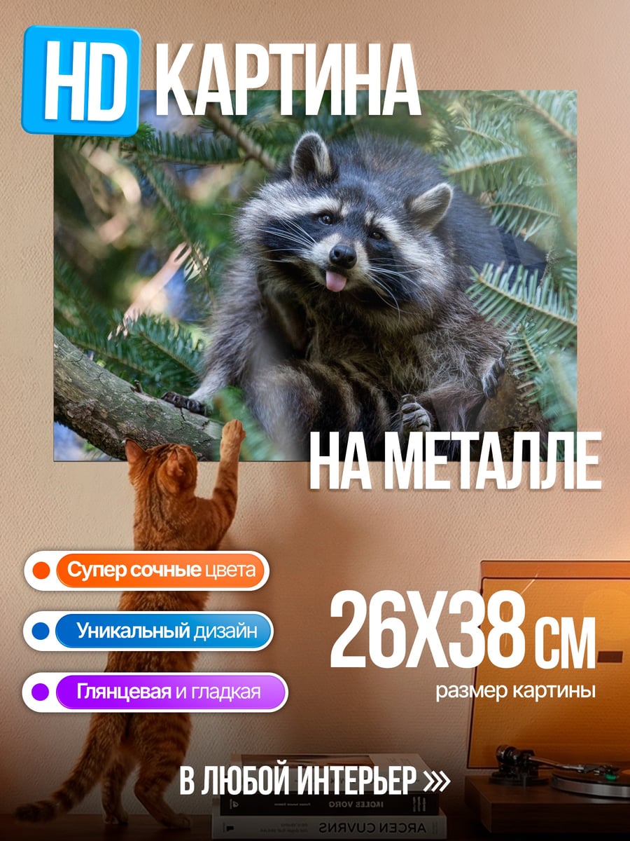 Картина на металле Енот в ветвях