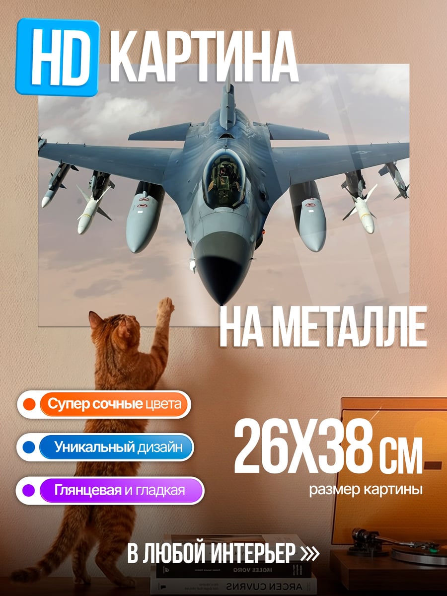 Картина на металле Истребитель в небе