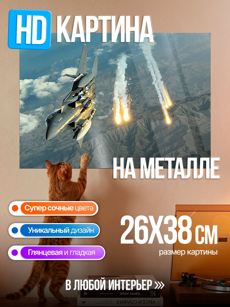 Картина на металле Боевой самолет