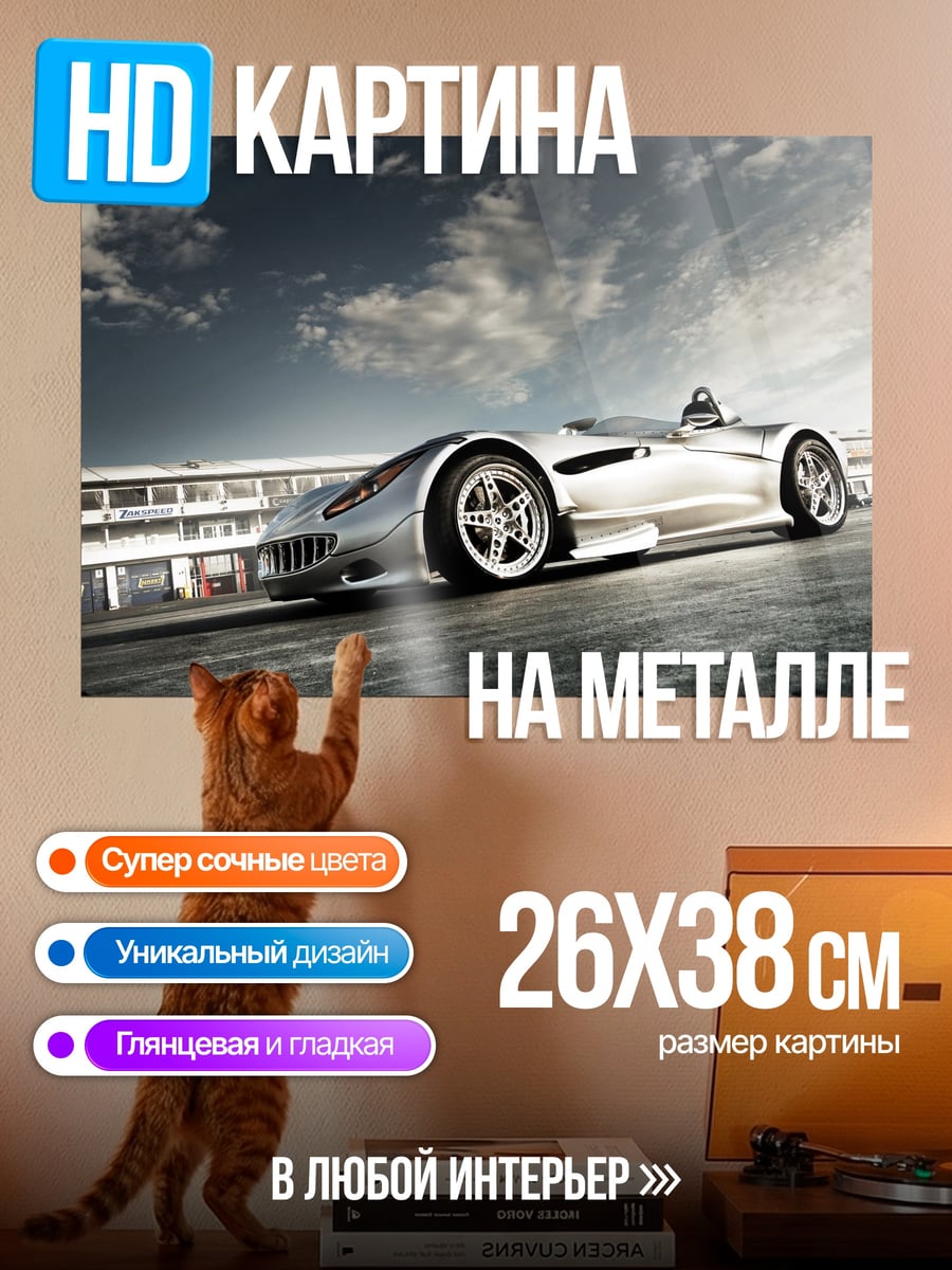 Картина на металле Серебряный спорткар