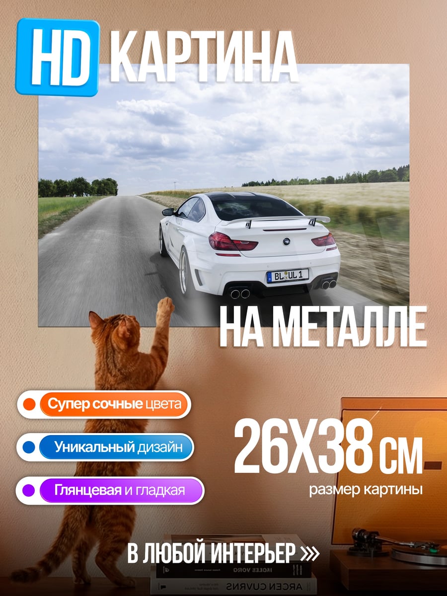 Картина на металле Белый спорткар на дороге