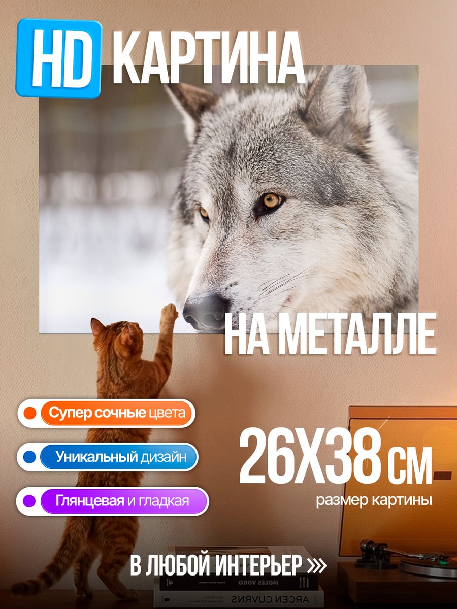 Картина на металле Портрет волка