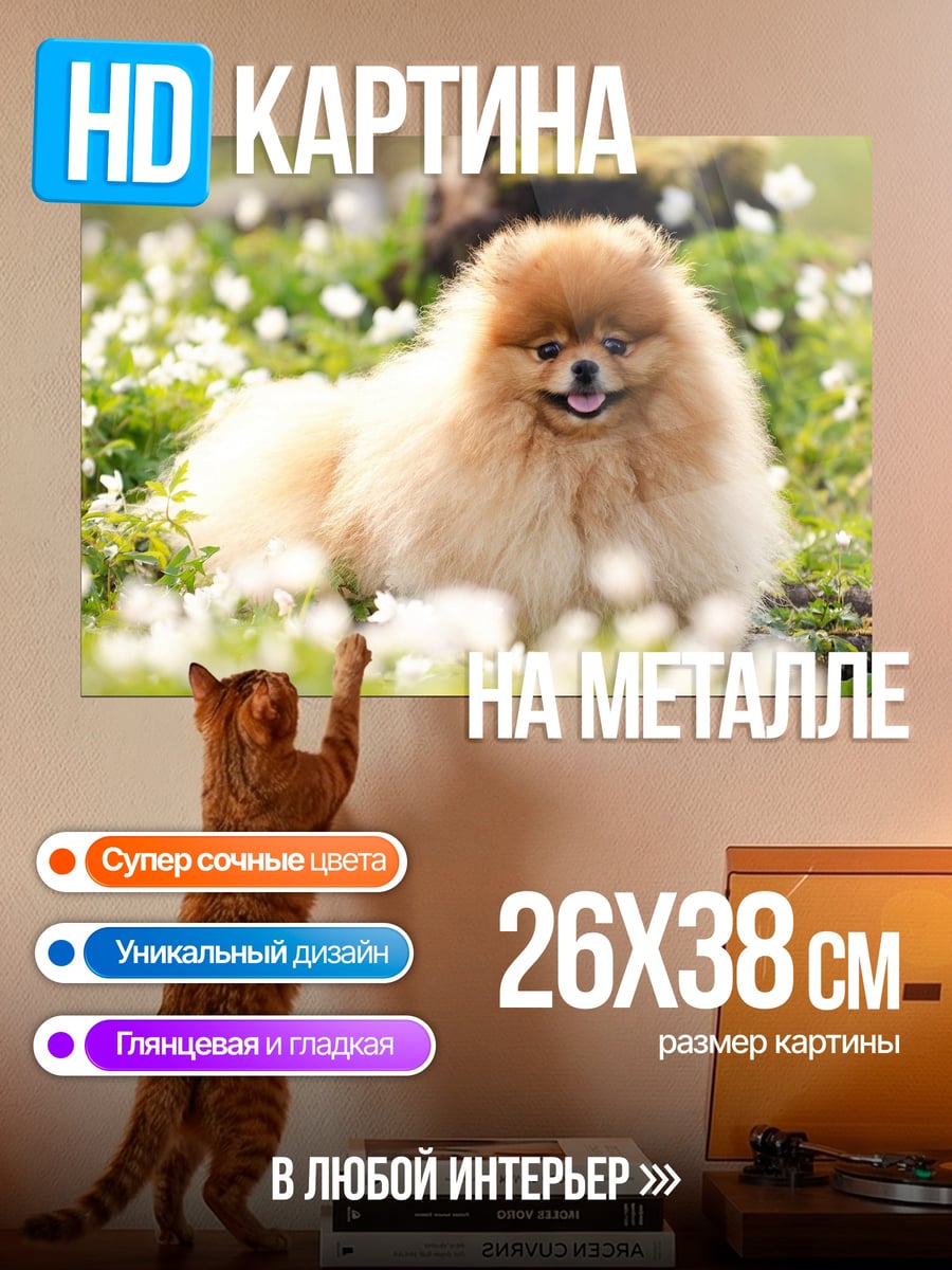 Картина на металле Шпиц в цветах