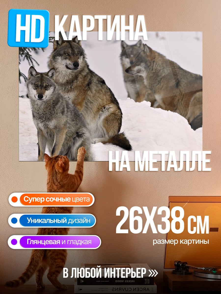 Картина на металле Волки в снегу