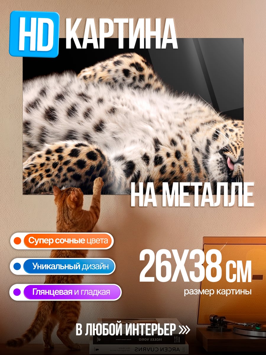 Картина на металле Леопард отдыхает черный фон