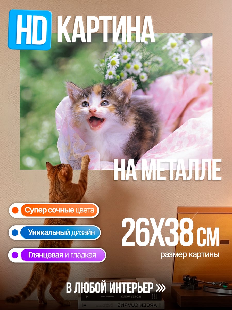 Картина на металле Котёнок в цветах