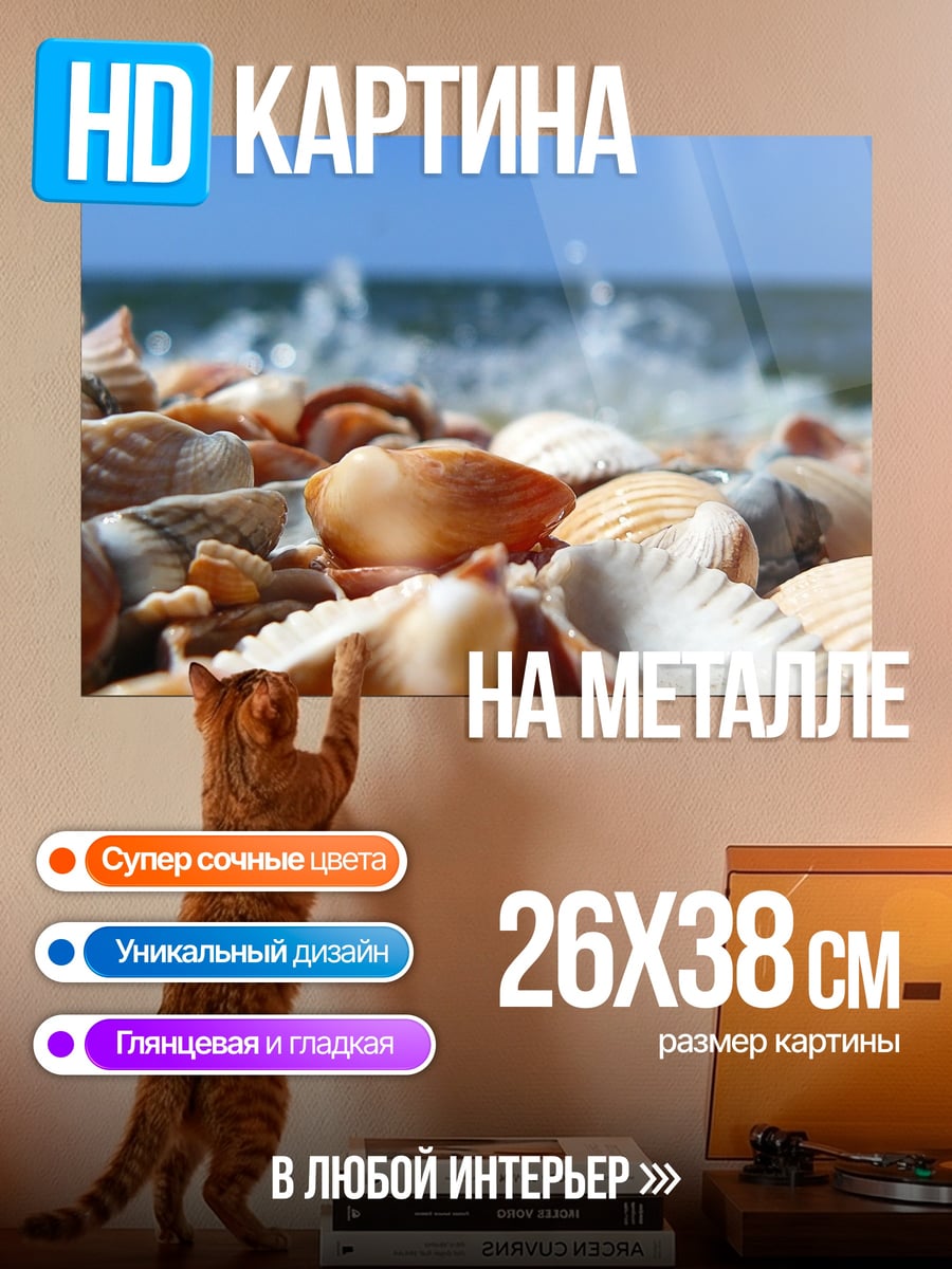 Картина на металле Морской берег ракушек