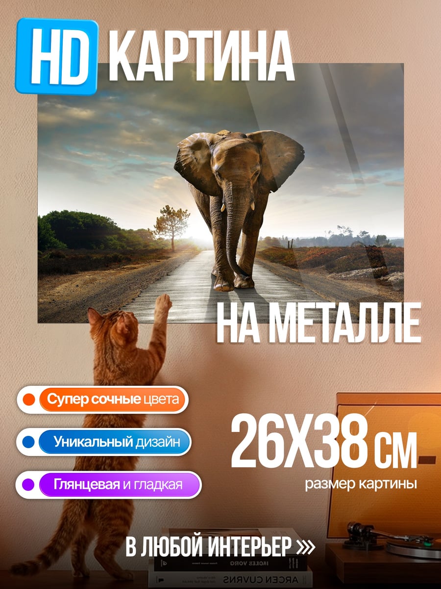 Картина на металле Слон на дороге