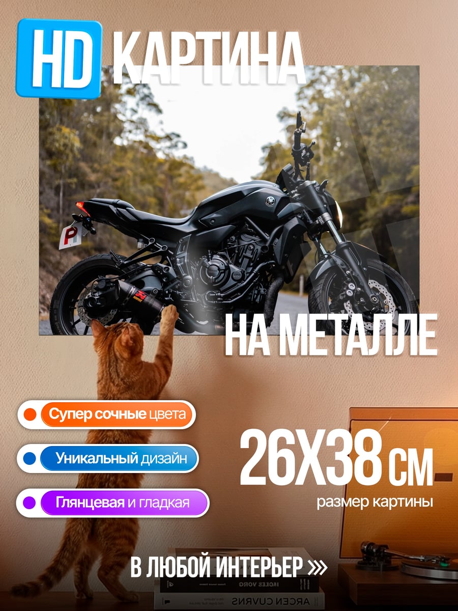 Картина на металле Чёрный мотоцикл