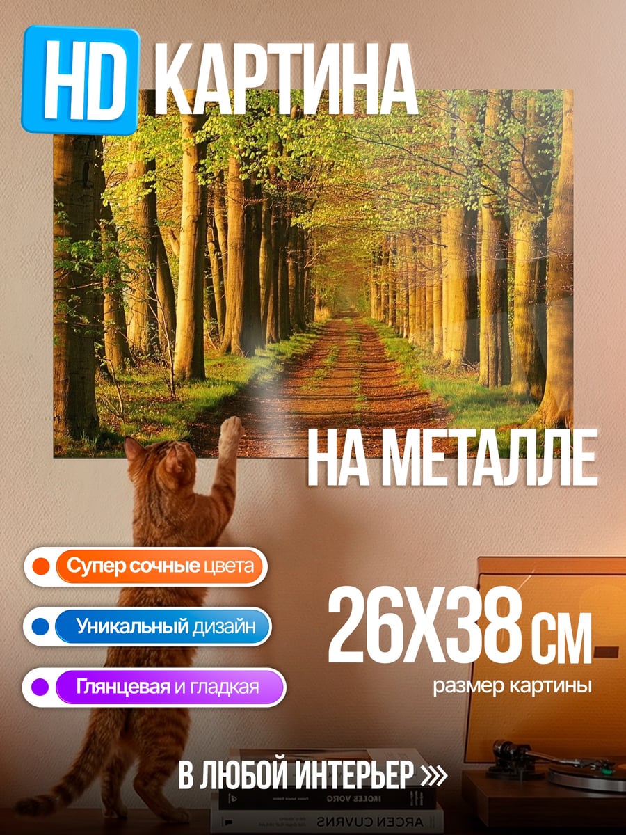 Картина на металле Лесная тропа
