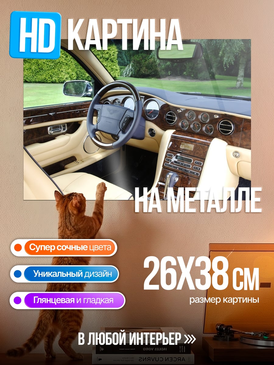 Картина на металле Роскошный салон авто
