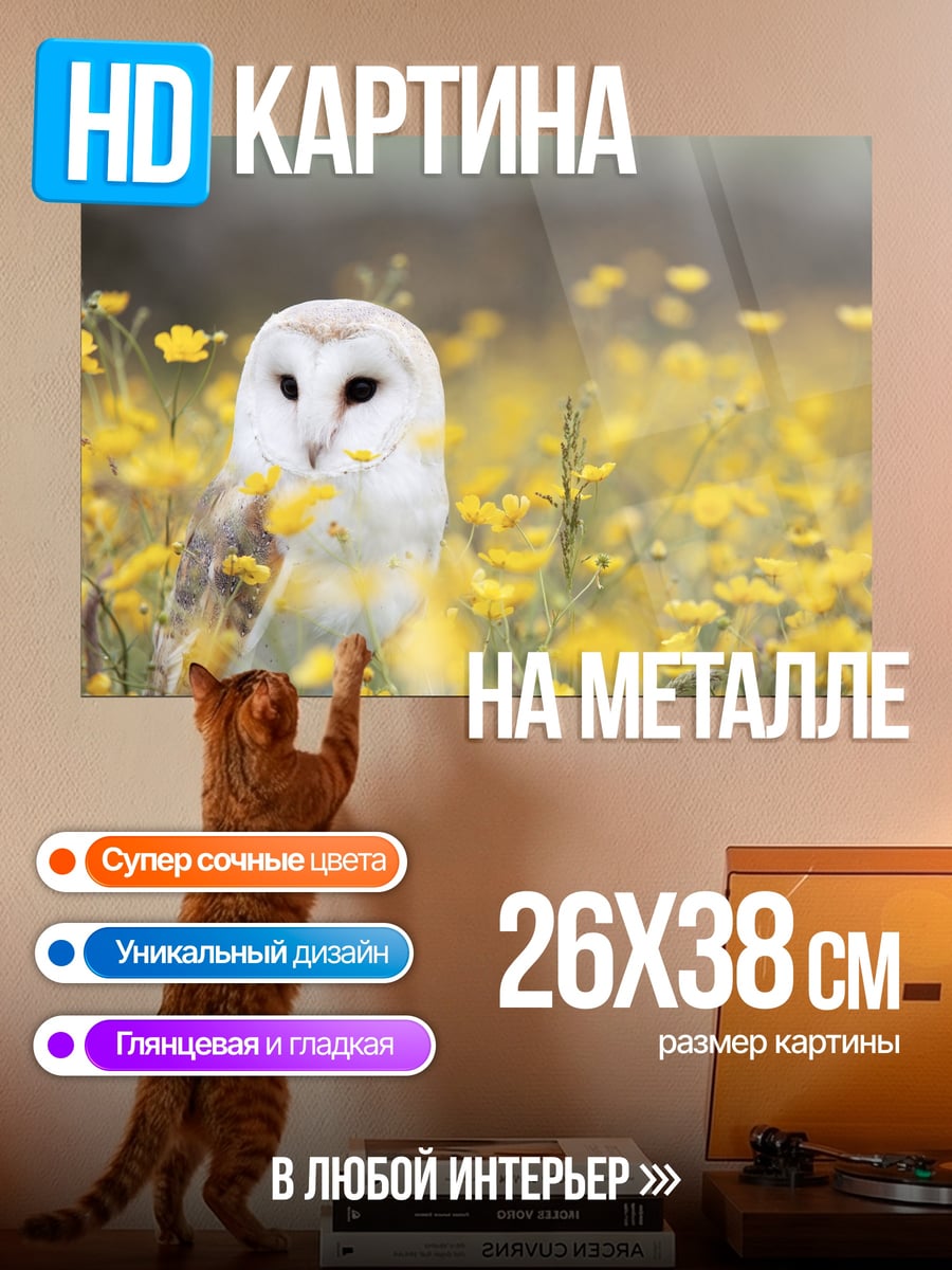 Картина на металле Сова в цветах