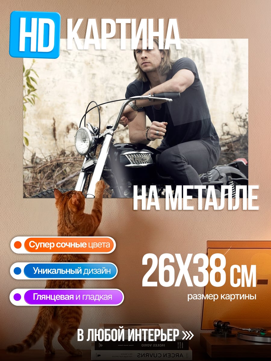 Картина на металле Байкер с длинными волосами
